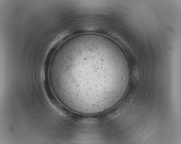 X0000112780734200908271703