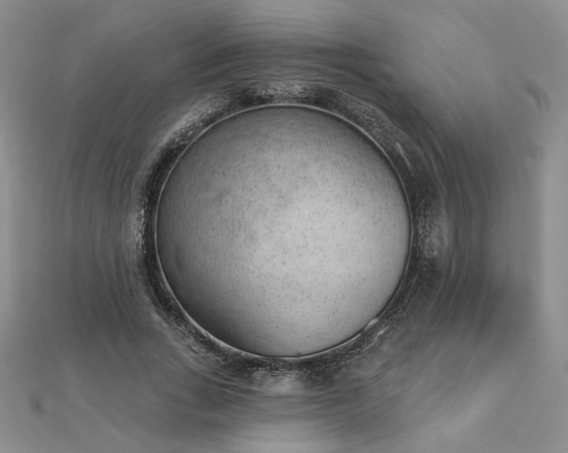 X0000112780735200908271703