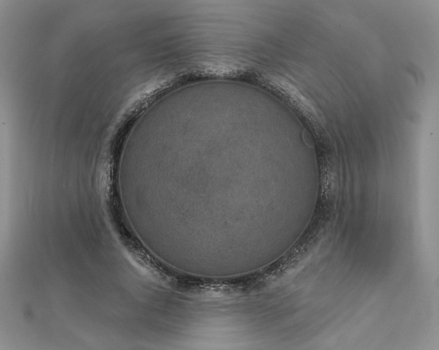 X0000112780736200908271703