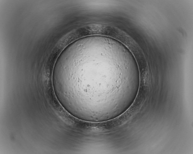 X0000112780737200908271703