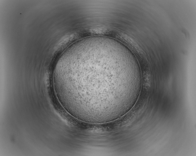 X0000112780738200908271703