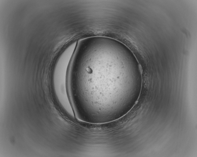 X0000112780740200908271703