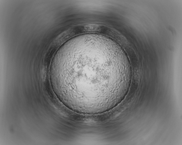 X0000112780741200908271703