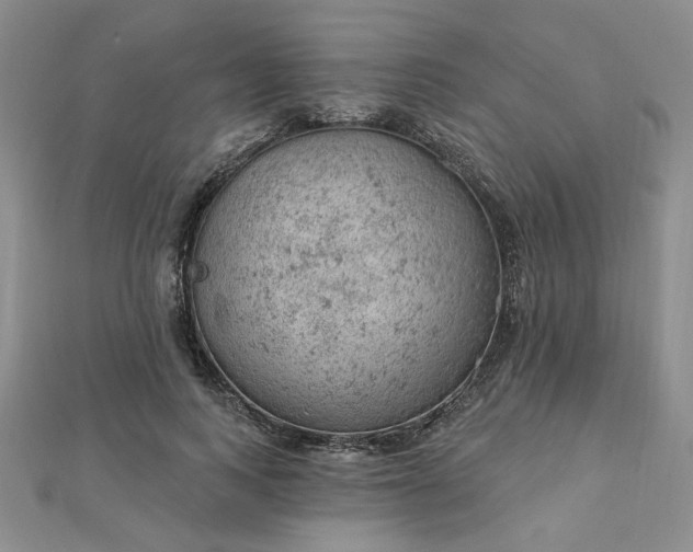 X0000112780743200908271703