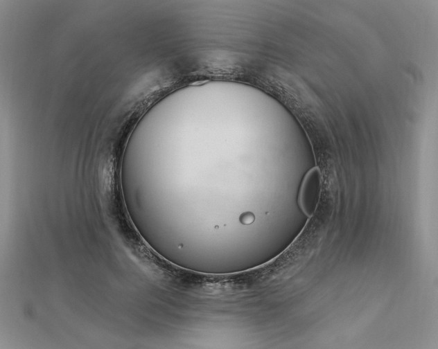 X0000112780744200908271703