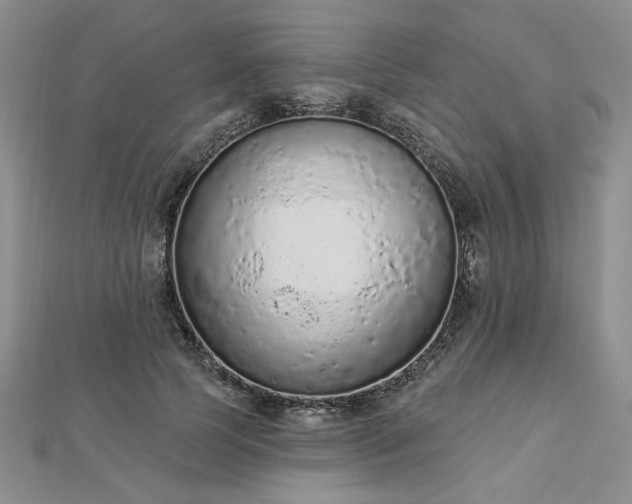 X0000112780745200908271703