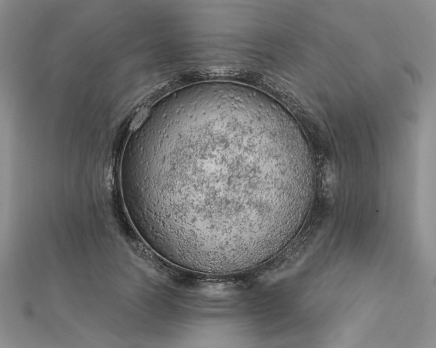 X0000112780746200908271703