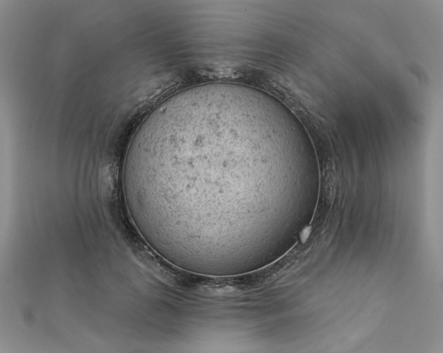 X0000112780747200908271703