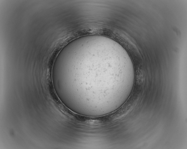 X0000112780748200908271703