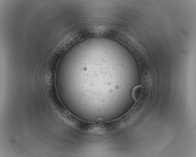 X0000112780750200908271703