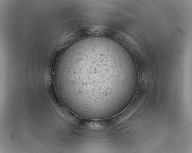 X0000112780751200908271703