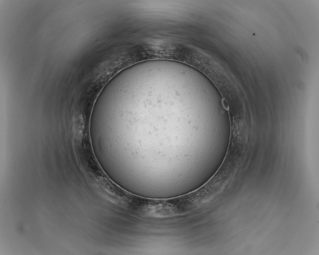 X0000112780752200908271703