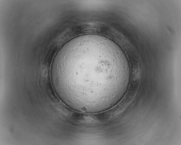 X0000112780753200908271703