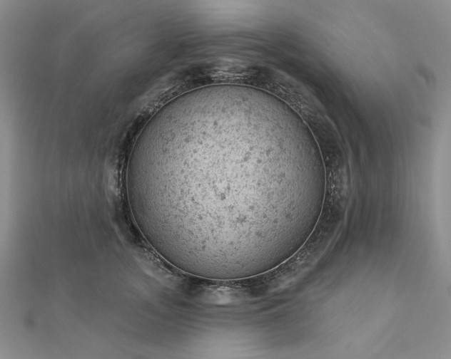 X0000112780755200908271703