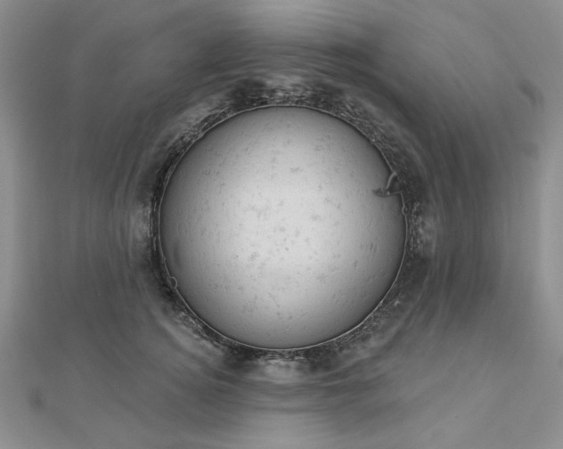 X0000112780756200908271703