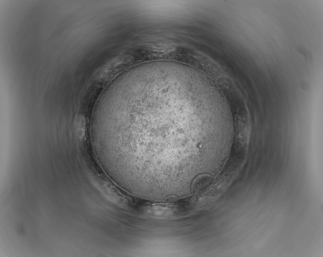 X0000112780758200908271703