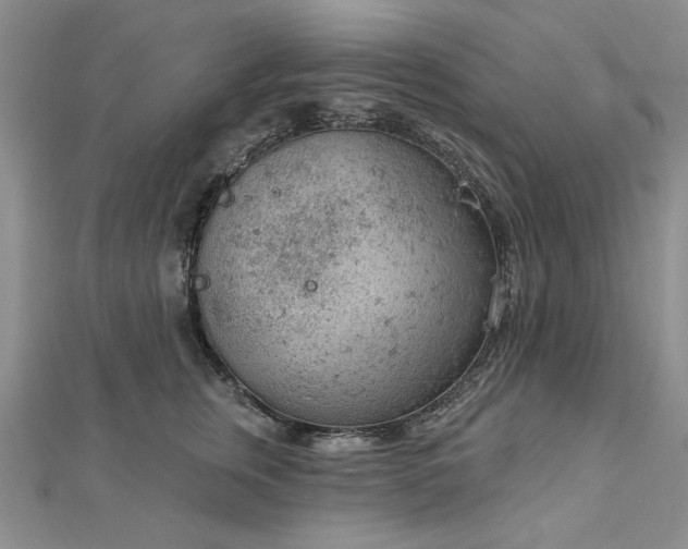 X0000112780759200908271703