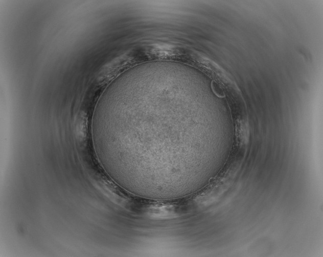 X0000112780760200908271703