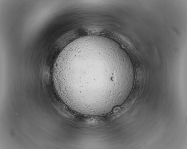 X0000112780761200908271703