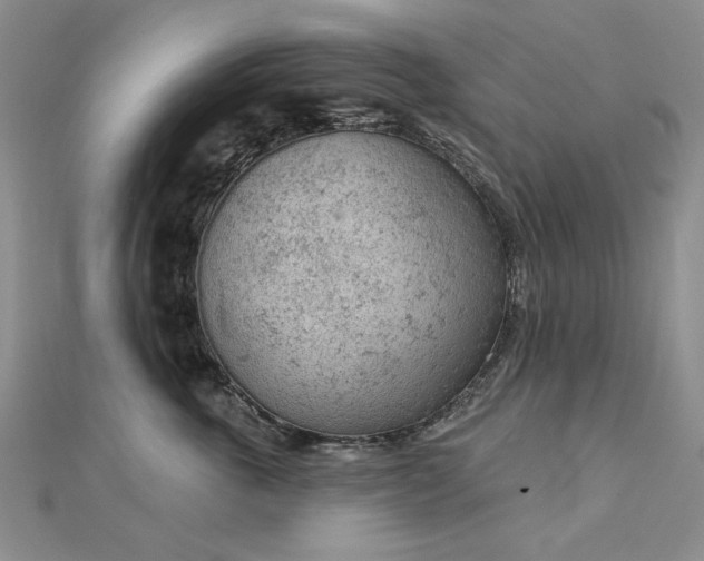 X0000112780763200908271703