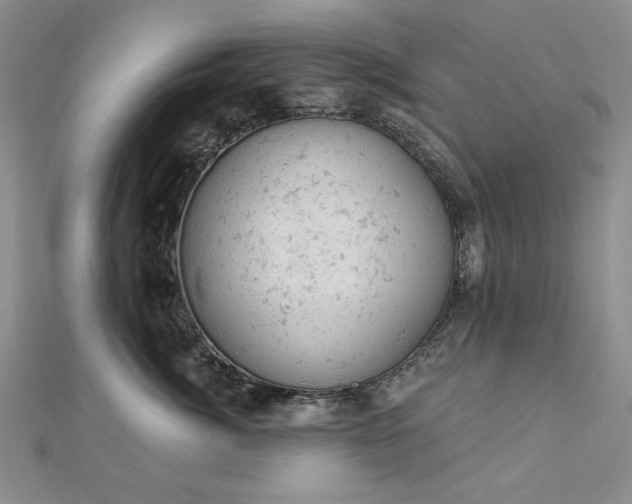 X0000112780764200908271703