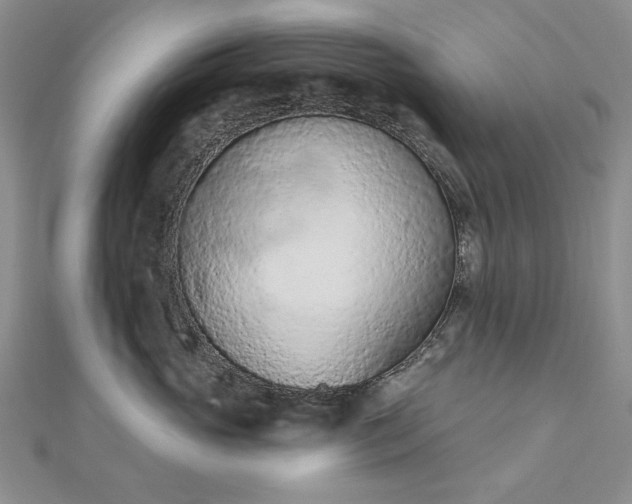 X0000112780765200908271703