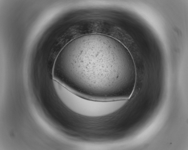 X0000112780766200908271703