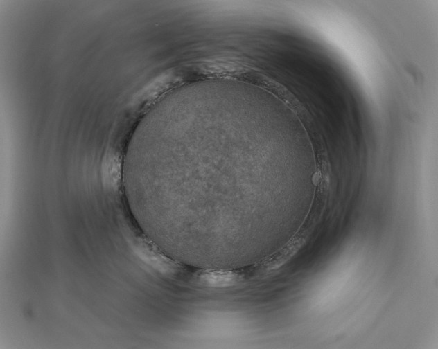 X0000112780767200908271703