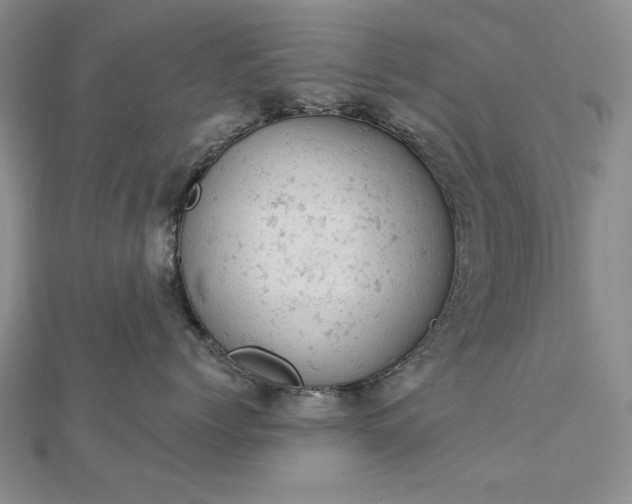 X0000112780768200908271703