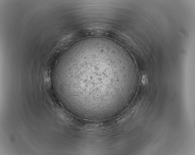 X0000112780771200908271703