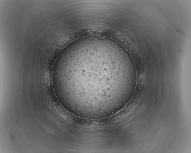 X0000112780772200908271703