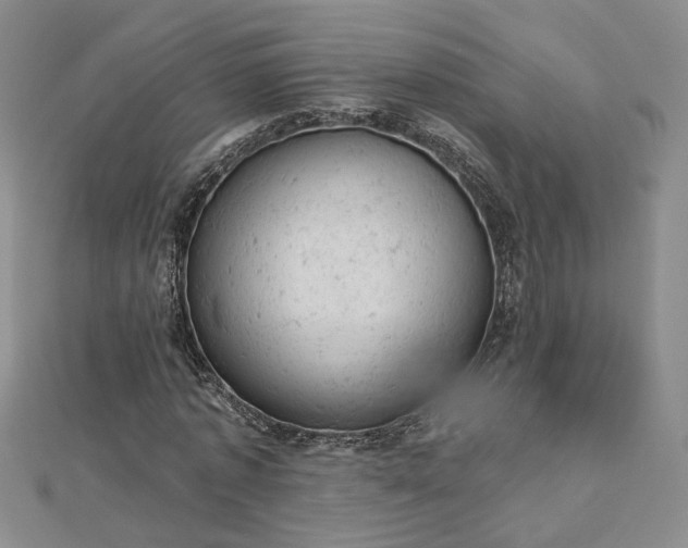 X0000112780773200908271703