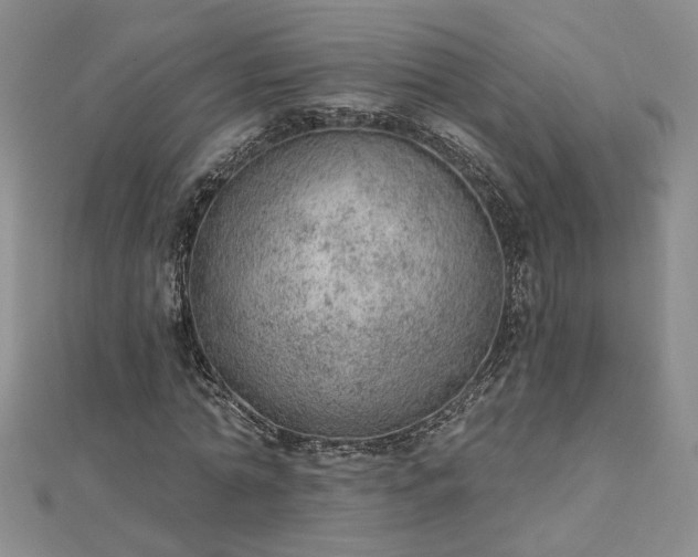 X0000112780774200908271702