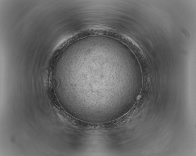 X0000112780775200908271702