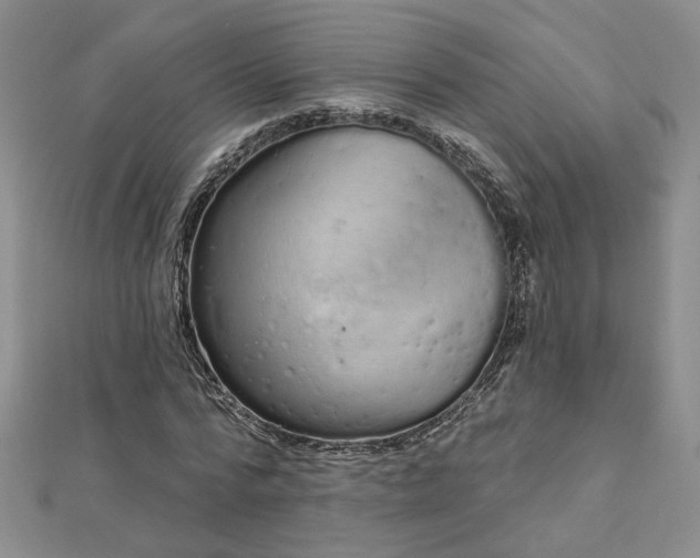 X0000112780776200908271702