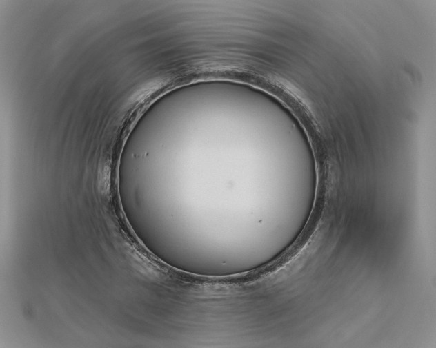 X0000112780777200908271702