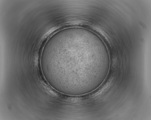 X0000112780778200908271702