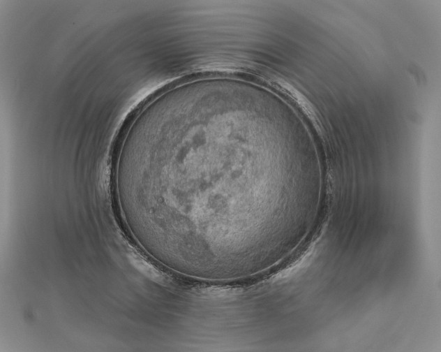 X0000112780779200908271702