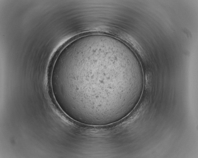 X0000112780780200908271702