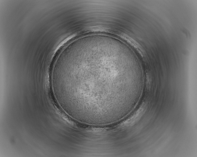 X0000112780782200908271702