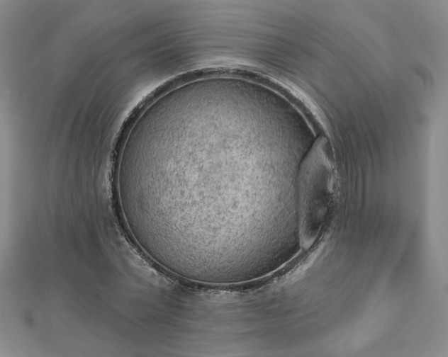 X0000112780783200908271702