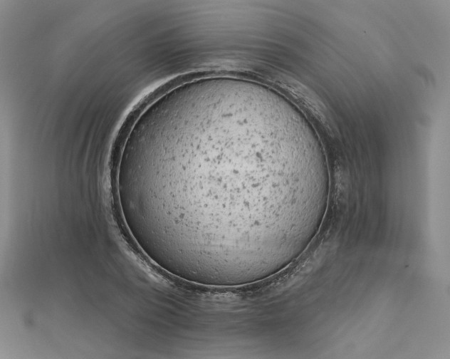 X0000112780784200908271702