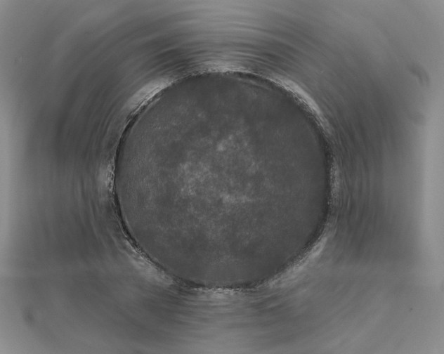 X0000112780785200908271702