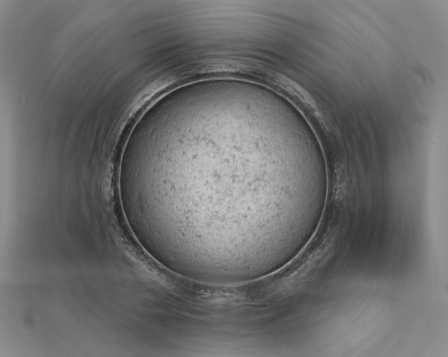 X0000112780786200908271702