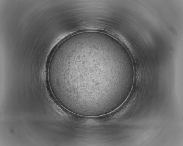 X0000112780787200908271702