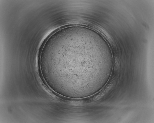 X0000112780788200908271702