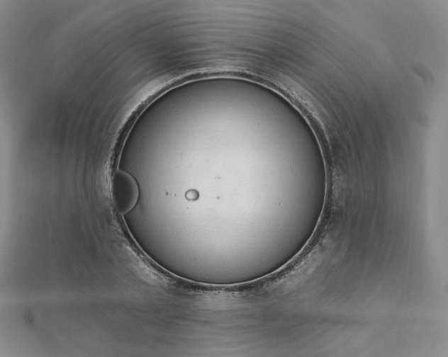 X0000112780789200908271702