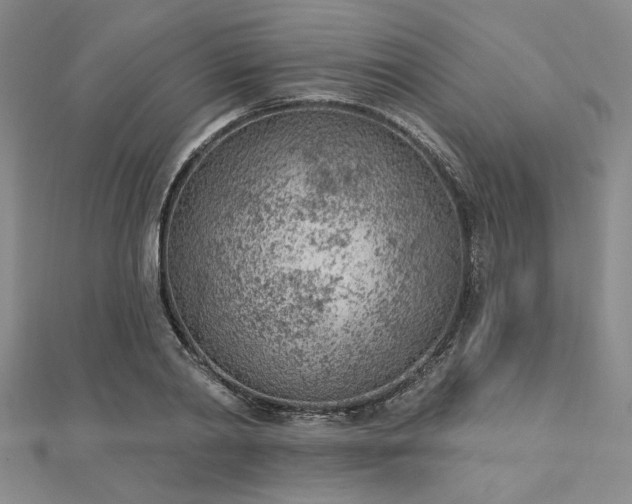 X0000112780790200908271702