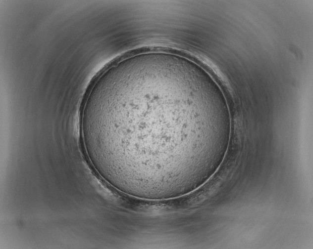 X0000112780791200908271702