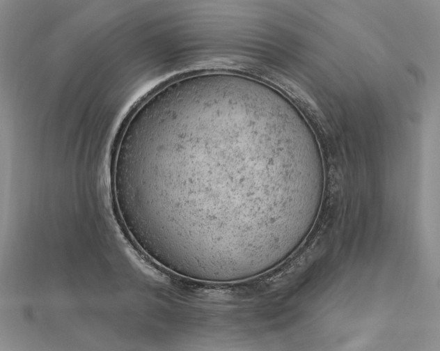 X0000112780792200908271702